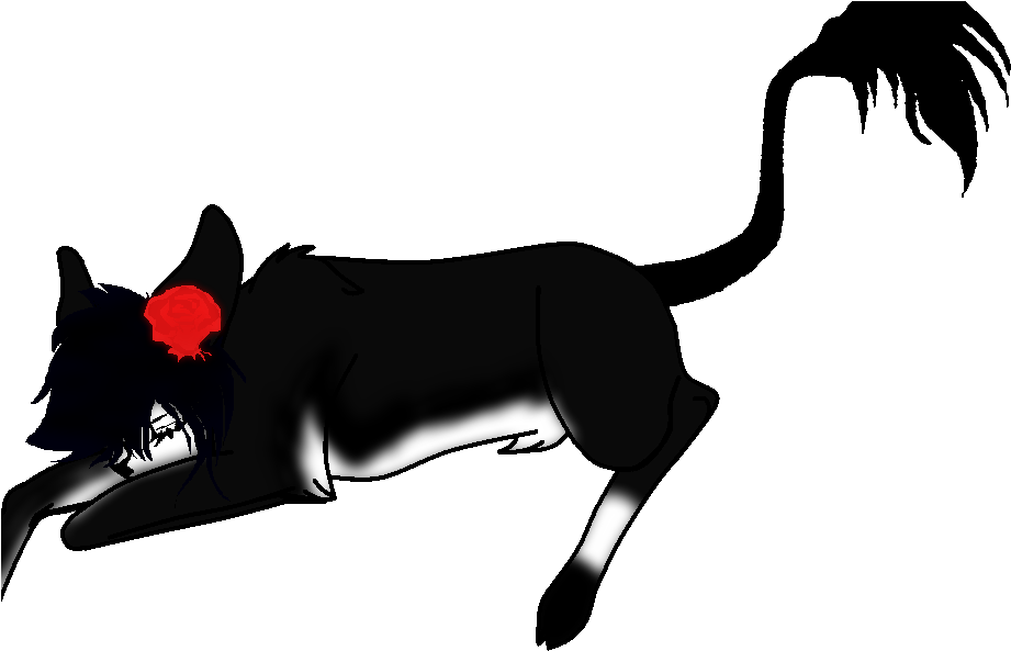 Oc Drawing And What Not - Drawing (1000x600)