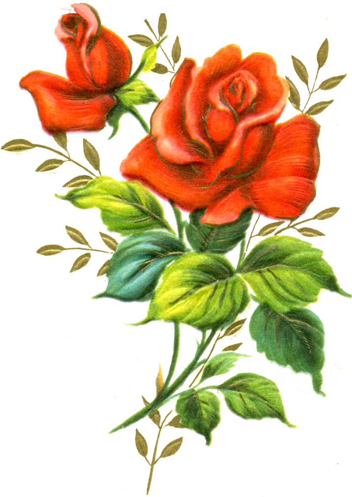 Flower Bouquet Clip Art - Red Rose (716x1011)