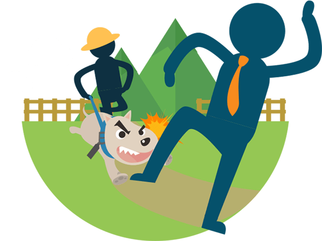 Injuries Caused By Your Domestic Cat Or Dog - Cat (1024x540)