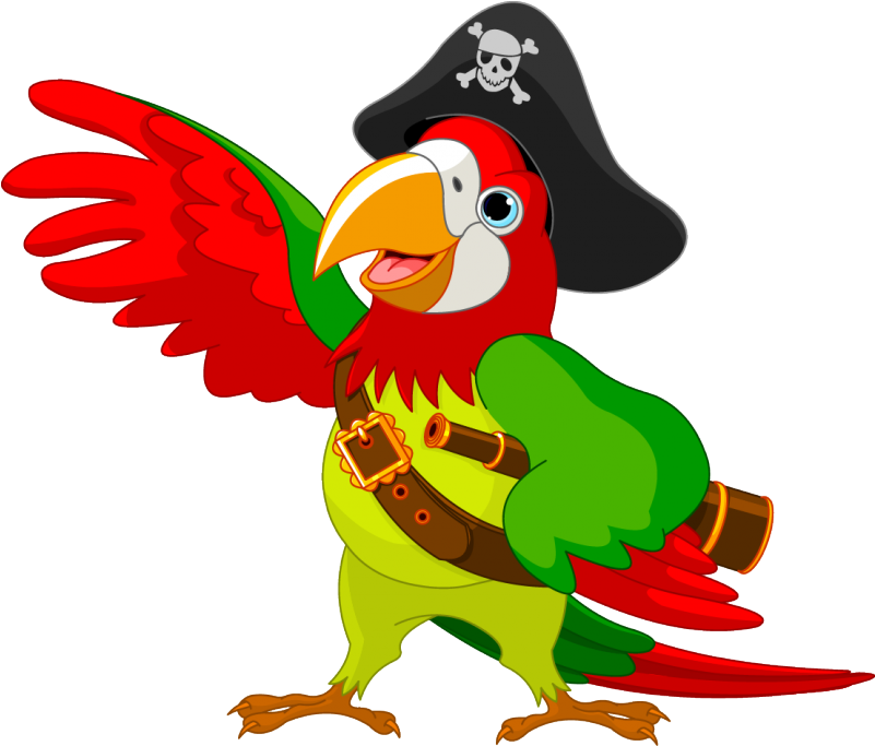 Next - Pirate Parrot Clip Art (800x800)