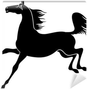 Silhouette Of Graceful Horse Galloping Wall Mural • - Horse (400x400)