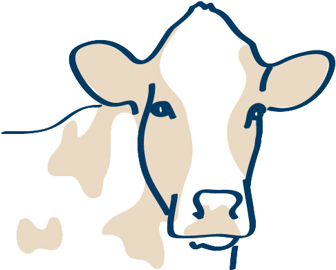 Learn More - Dairy Cow (500x500)