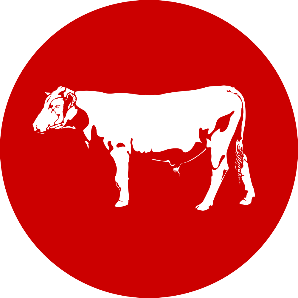 More About Holt - Dairy Cow (1000x1000)