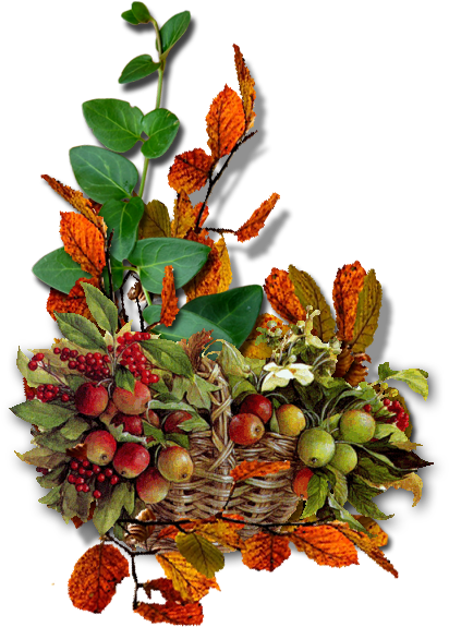 Pin By Bronislava Jarošová On B - Buffaloberries (464x621)
