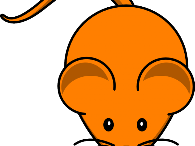 Mouse Clipart Orange - Mouse Clip Art (640x480)
