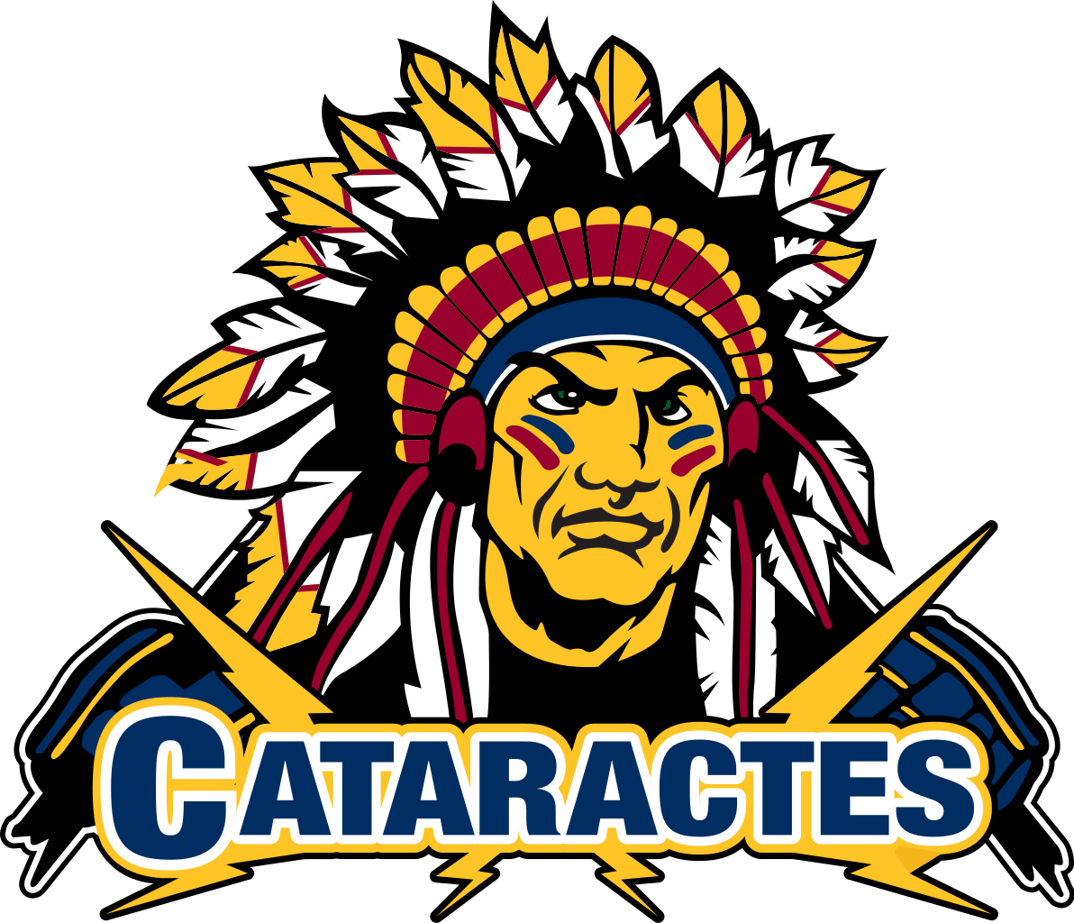 Download - Shawinigan Cataractes Logo (1200x1031)