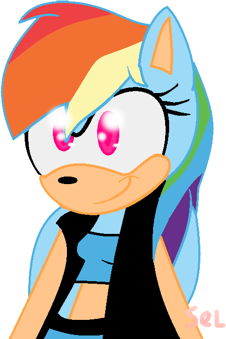 Rainbow Dash Sonic Version By Selena Angel The Dog - Cartoon (493x673)