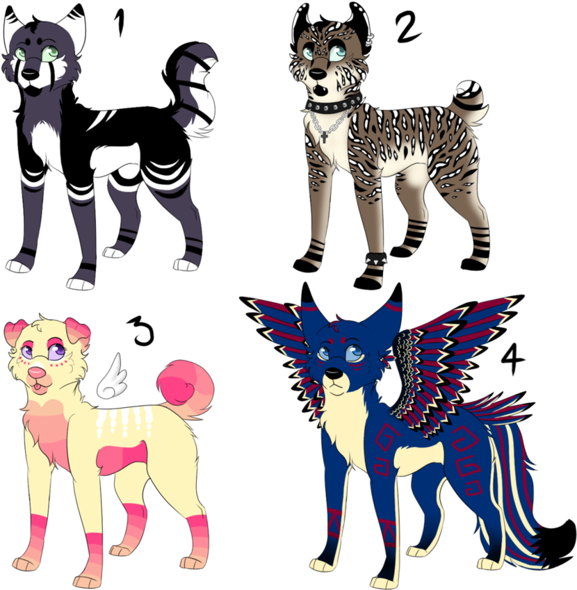 Canine Adoptables - Ancient Dog Breeds (894x894)
