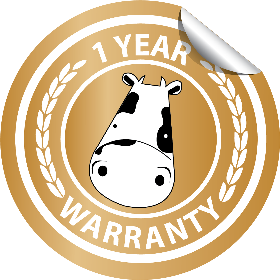 In A Nutshell - Dimplex 2kw Electric Inset Fire | Wyn20ch (1299x1299)