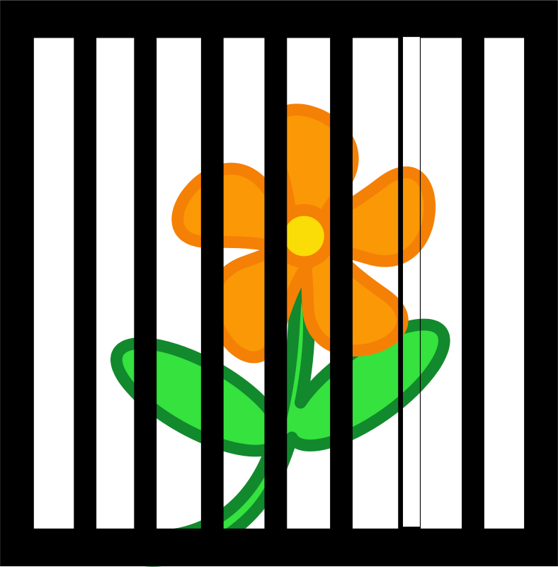 Free Flower Behind Bars Free Awesome Demon - Philip Zimbardo (788x800)