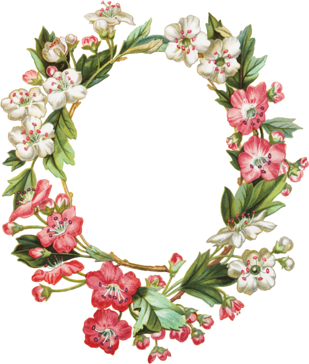 012 Apple Blossom Oval Wreath Graphicsfairy 1,020×1,200 - Floral Borders And Frames (1020x1200)