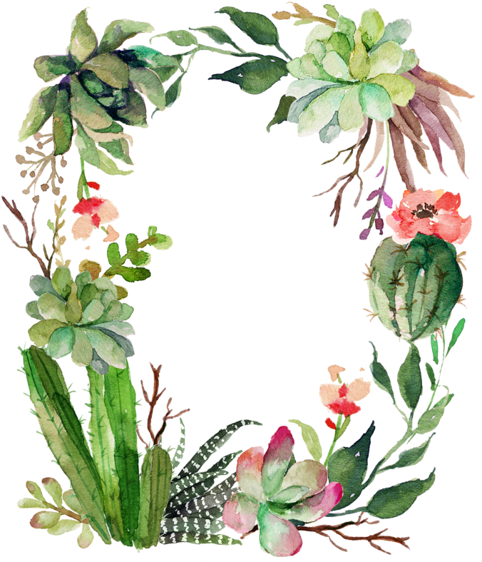 Cactus Frames - Cactus And Succulent Quotes (702x800)