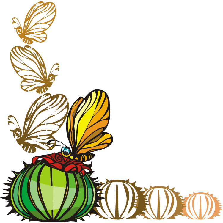 Cactus - Portable Network Graphics (750x750)