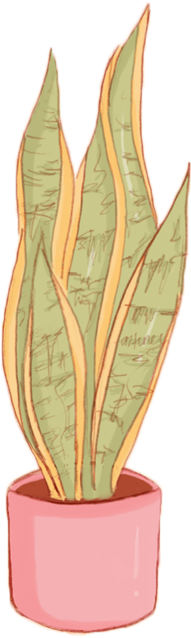 Here's A Transparent House Plant For Your Blog - Agave (500x650)