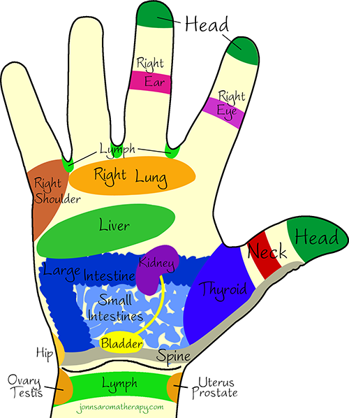 Massage Acupressure Points - Massage Points On Hand (500x598)