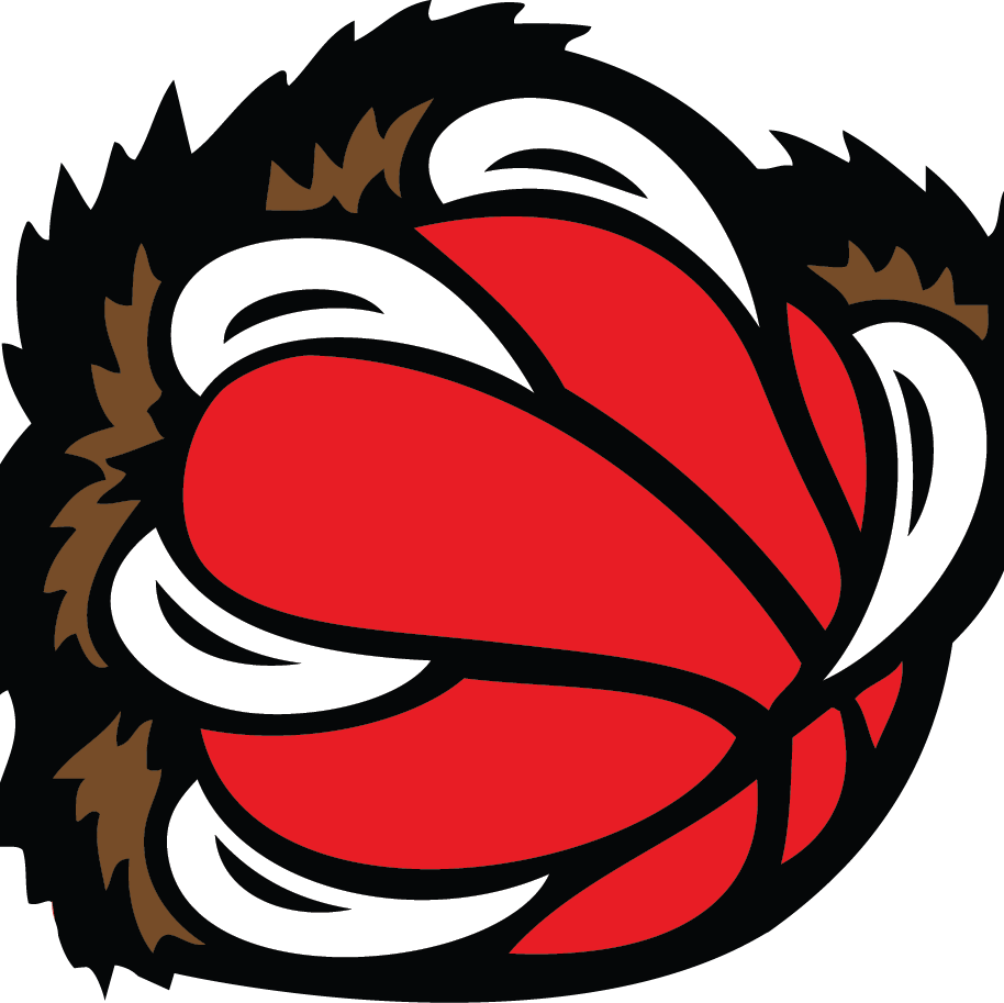 Sd Sabers - Vancouver Grizzlies Logo (914x913)