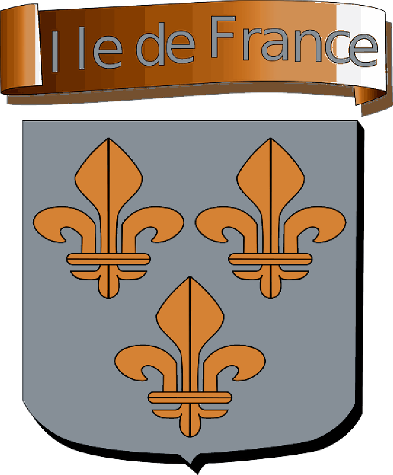 France, Flag, Sign, French, Europe, Signs, Symbols - Ile De France Flag (800x966)
