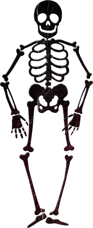 Skeleton Clip Art - Skeleton Clip Art (328x800)