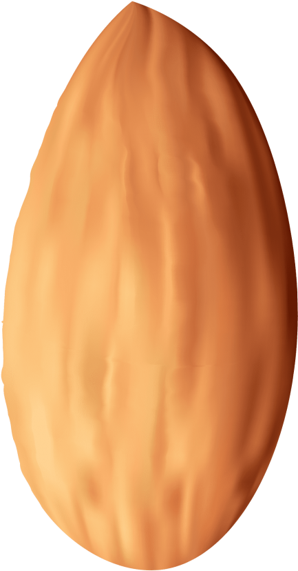 Free Png Almond Nut Png Images Transparent - Clip Art (480x876)