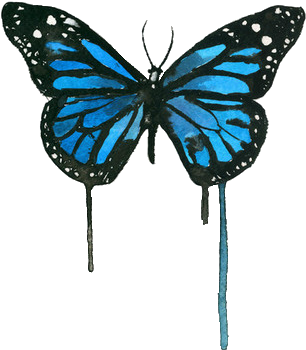 Butterfly Flying Tumblr For Kids - Watercolor Butterfly Blue (500x500)
