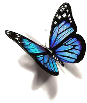 Blue Butterfly Png Photo - Butterfly Tattoo Design (400x400)