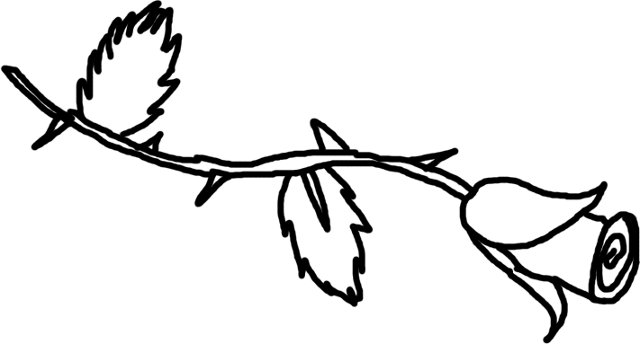 Line Art Rose - Rose Line Art Png (711x383)