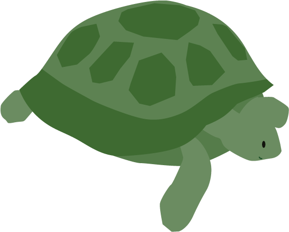 View All Images-1 - Tortoise (640x640)