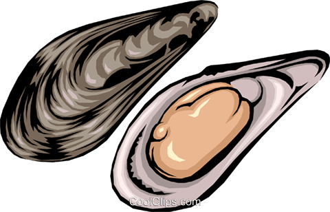 Clam Mussel Oyster Clip Art - Clam Mussel Oyster Clip Art (480x308)
