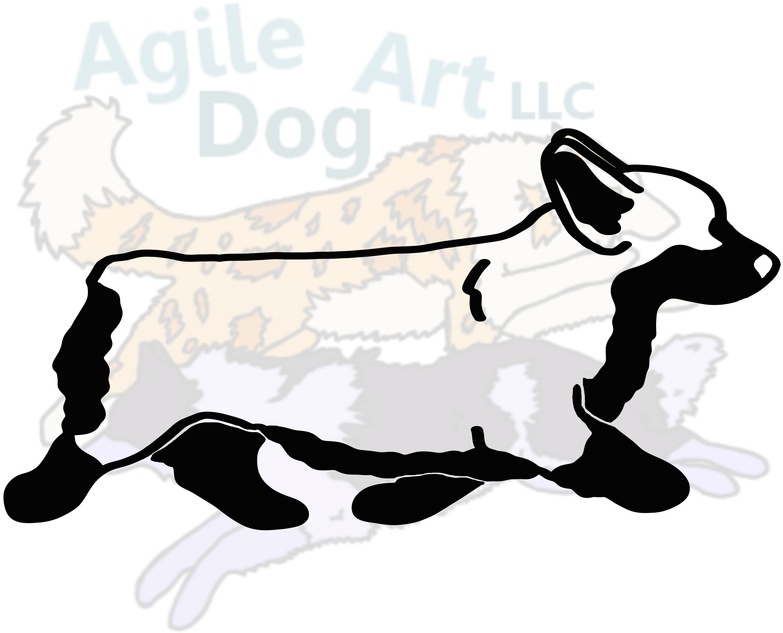 Picture - Cardigan Welsh Corgi (800x800)