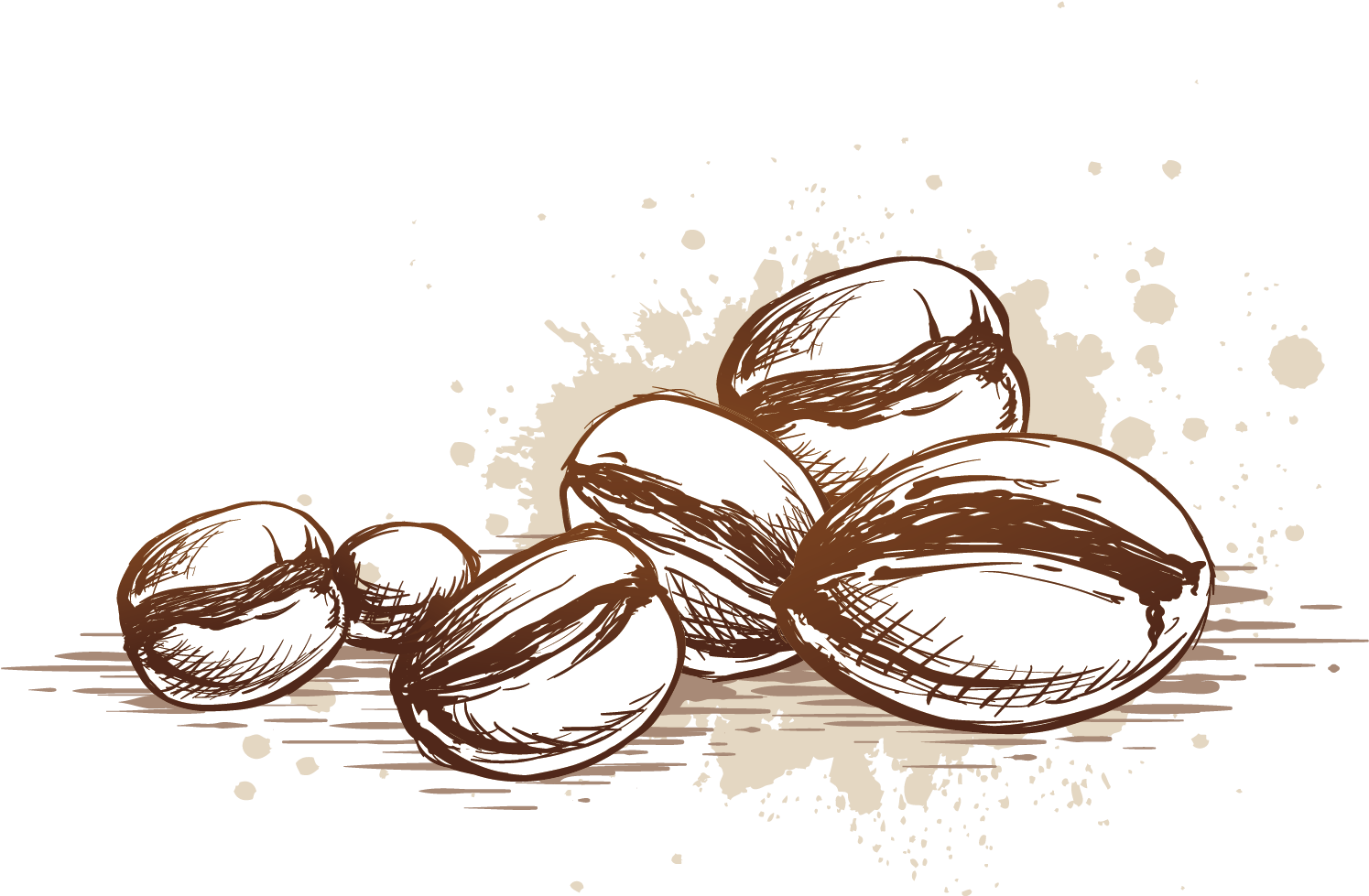 Coffee Cup Cafe Coffee Bean - Coffee Bean (2362x2362)