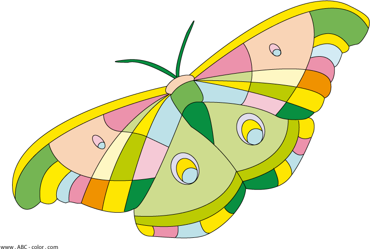 Butterfly Raster Clipart - Метелик На Прозорому Фоні (822x567)