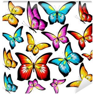 Beautiful Color Butterflies,set, Isolated On A White - White (400x400)