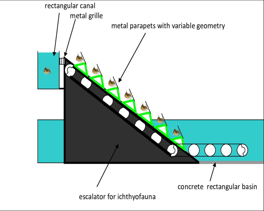 Positioning The Escalator -indicative Scheme - Diagram (850x681)