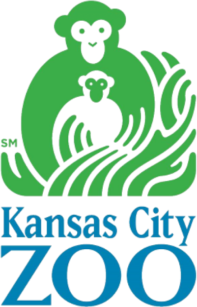 Visit Website - Kansas City Zoo Baby Orangutan (650x650)