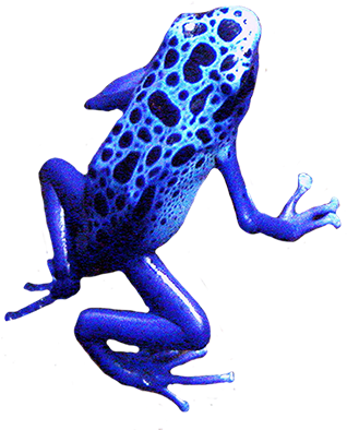 Blue Frog Clip Art - Blue Frog No Background (347x413)