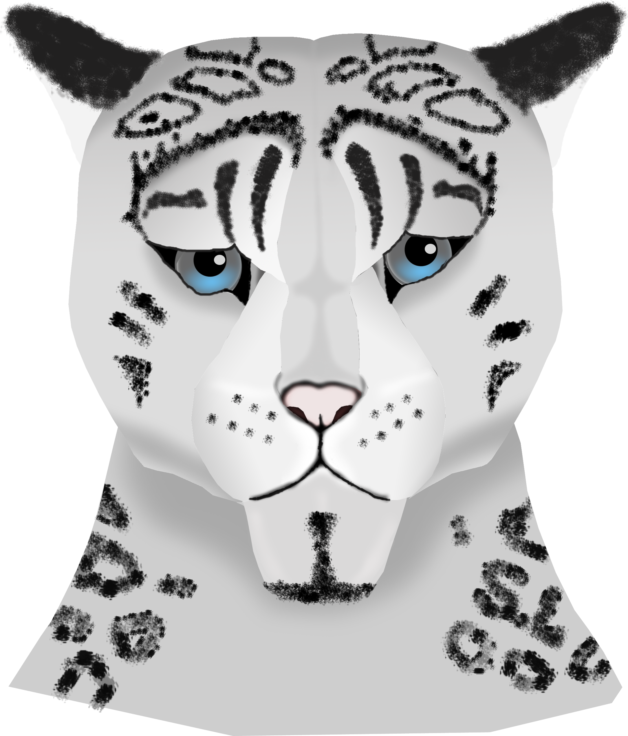 Leopard Information In Hindi Image Hd - Illustration (2544x3501)
