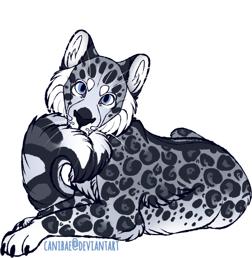 Snow Leopard Adopt By Canibae - Wolfdog (1024x1047)