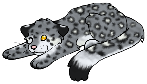 Carnationrose 1 0 Tess - Jaguar (539x303)