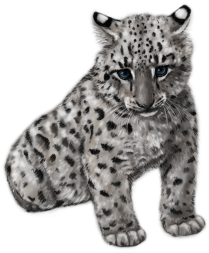 Cute Snow Leopard By Silvercrossfox-d6fsw1b - Baby Snow Leopard Transparent (465x512)