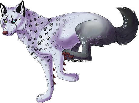 Blind To Faults In All, A Male Who Lives For Storytelling - Norwegian Lundehund (460x340)