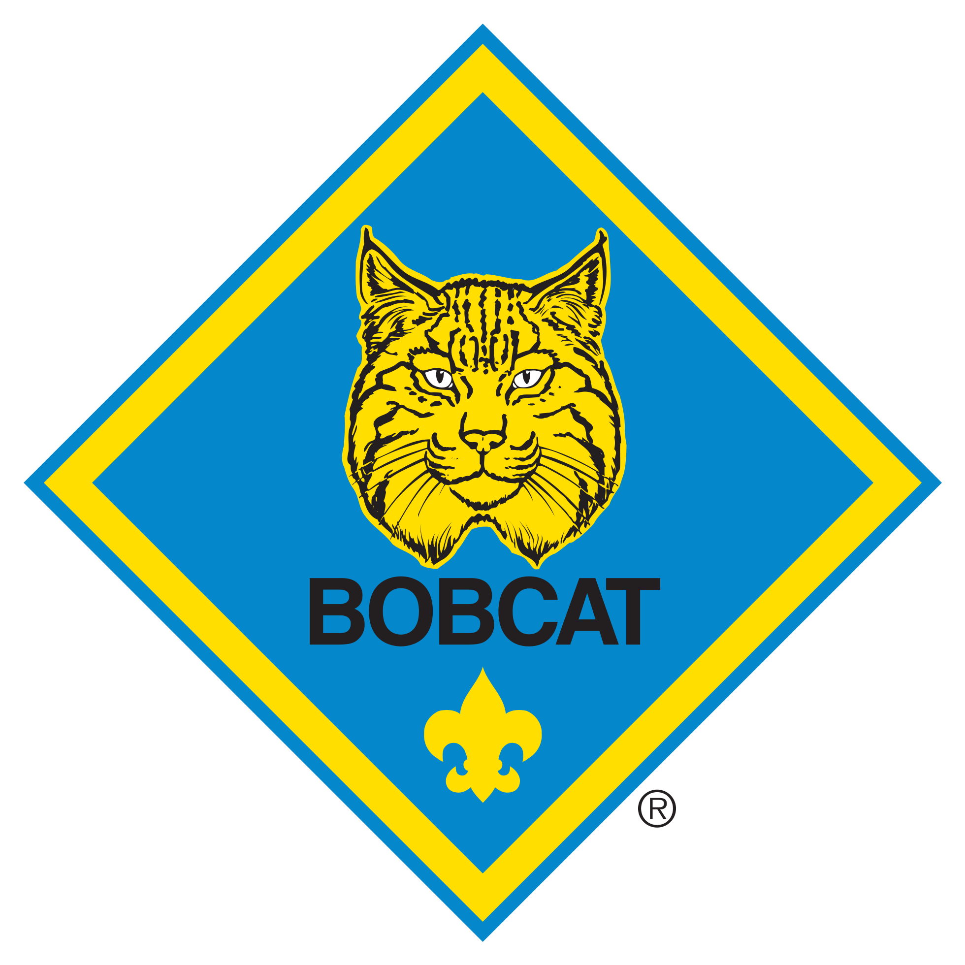 Cub Scout Bobcat Badge (2000x2000)