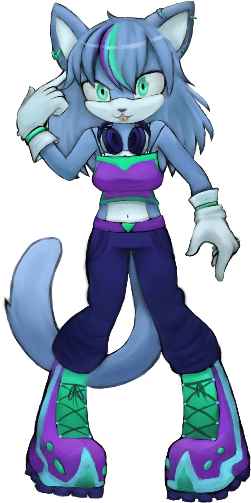 Sonic Fan Made Characters Cat - Fan Character Sonic Cats (1164x2021)