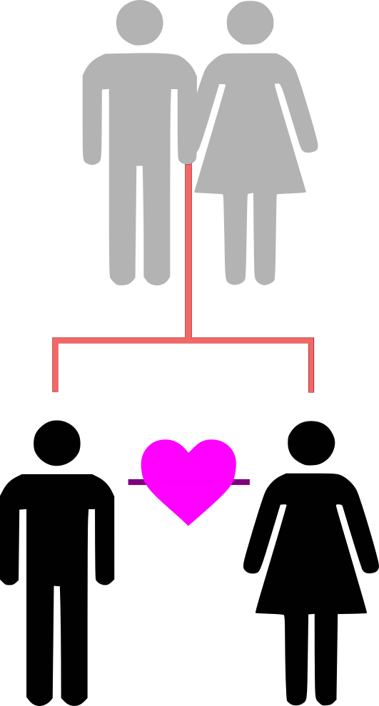 Brother-sister Relationships Are A Form Of Sibling - God Created Male And Female (531x990)