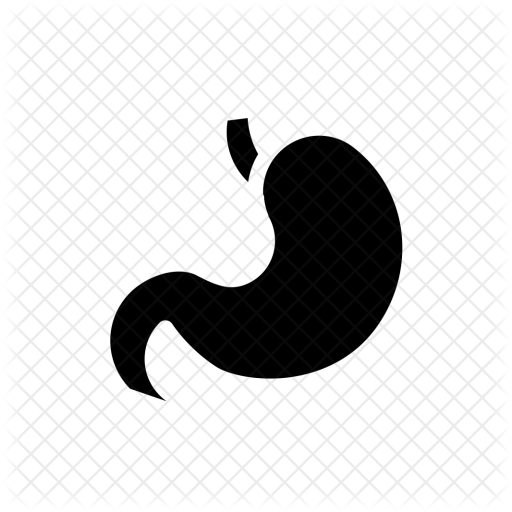 Digestion, Stomach, Getroenterology, Organ, Healthcare, - Illustration (512x512)