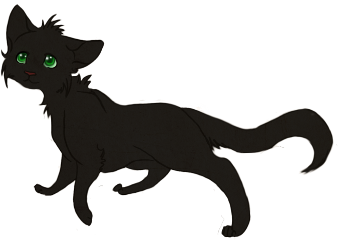 More Like Squirrleflight By ~collie-rado - Black Cat (900x567)