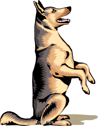 German Shepherd Royalty Free Vector Clip Art Illustration - Drawings Of Dogs (375x480)