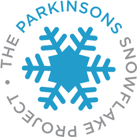 The Snowflake Project - Project Management For The Unofficial Project Manager (500x502)