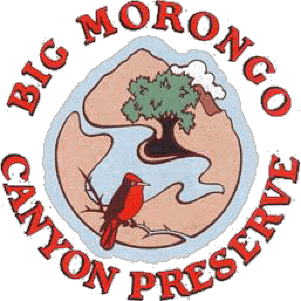 Big Morongo Canyon Preserve - Big Morongo Canyon Preserve (1000x1000)