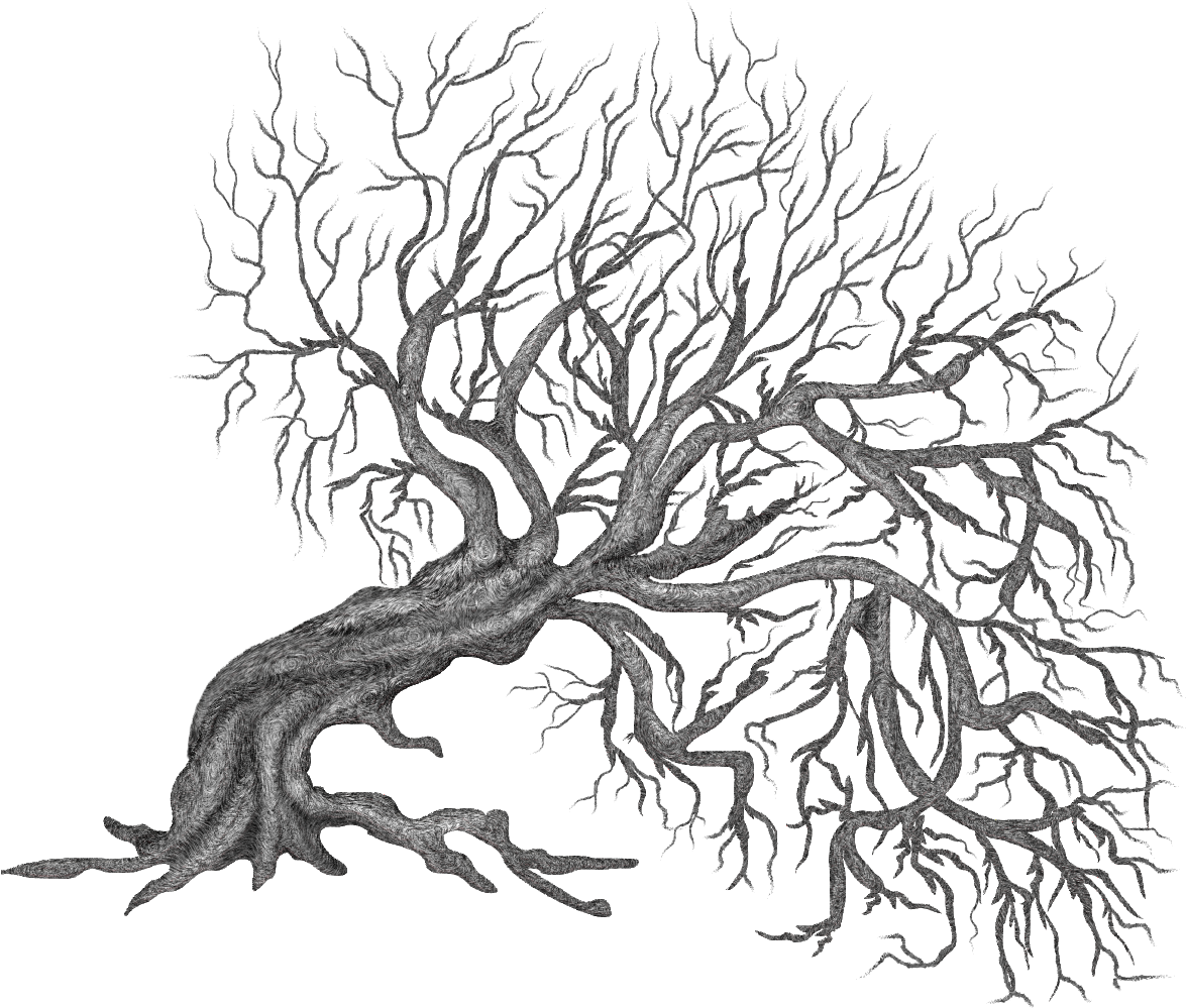 Winter Trees Painting Tree, Clipart Illustration, Png - Winter Trees Painting Tree, Clipart Illustration, Png (1175x999)