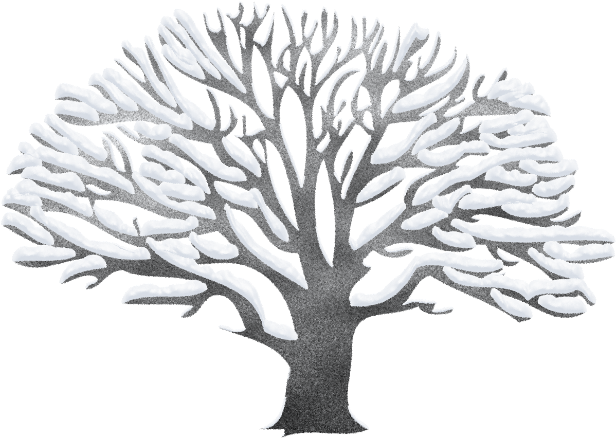 Download Free "winter Tree Clipart 3" Png Photo, Images - Download Free "winter Tree Clipart 3" Png Photo, Images (1249x897)